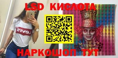 шишки Лесосибирск