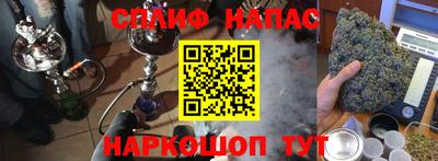 шишки Лесосибирск