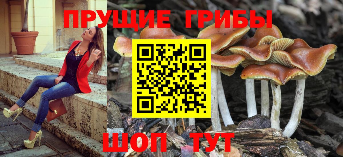 Губаха  Галлюциногенные грибы ЛСД  Вход с VPN  Псилоцибиновые грибы мухоморы 