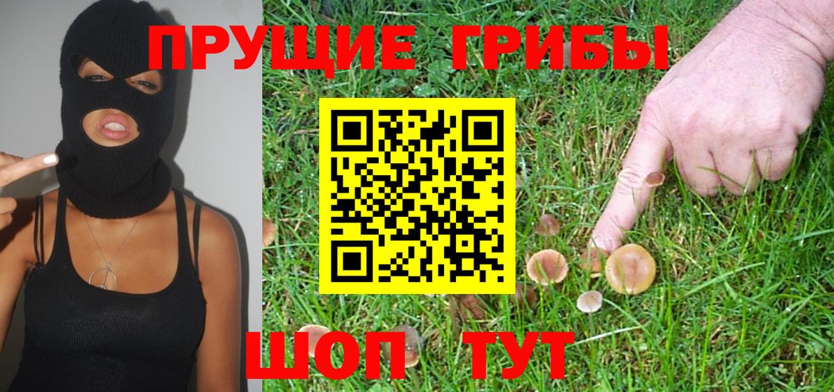 Галлюциногенные грибы GOLDEN TEACHER Губаха